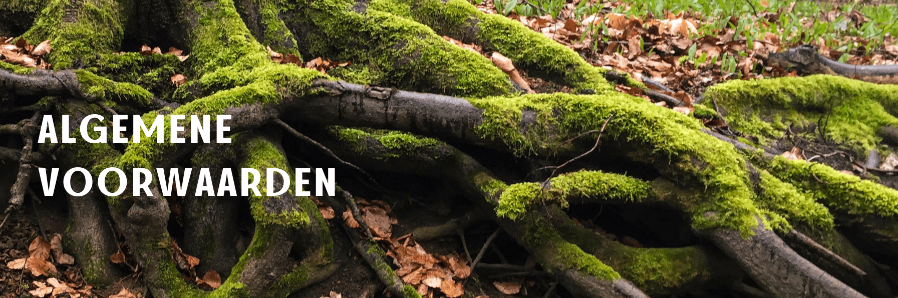 algemene voorwaarden – ZachtZicht psychosociale therapie