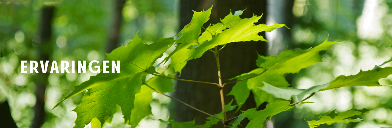 Cliëntervaring therapie bij ZachtZicht